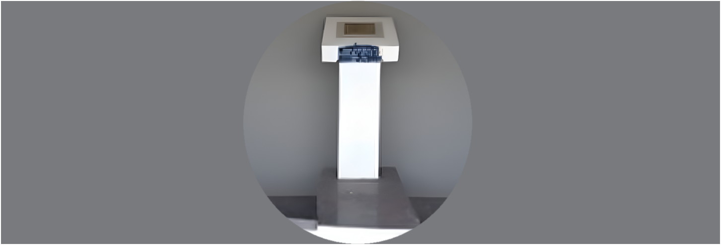 Primera Piedra Templete